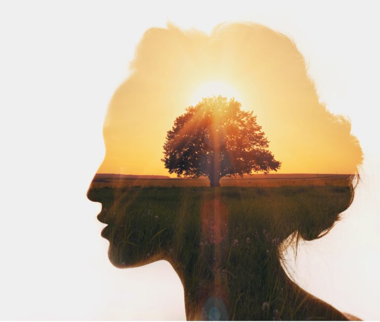 une tête de femme avec un arbre et un coucher de soleil dans la tête